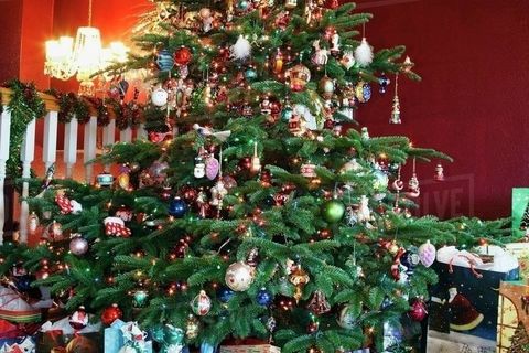 THE CHRISTMAS SPIRIT