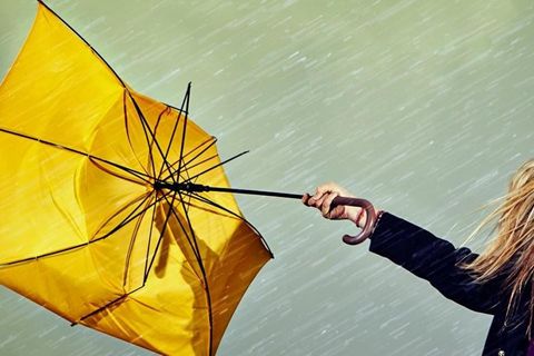 WIND AND RAIN