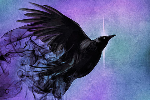 i hear all the wrong songs in the right birds