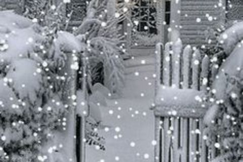 in lamplight