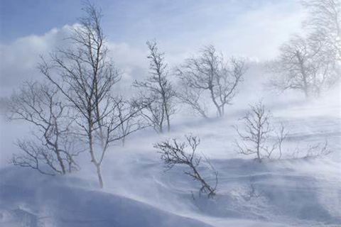 WINTER