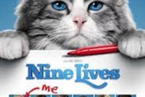 Nine lives removed from feline groovy and royal