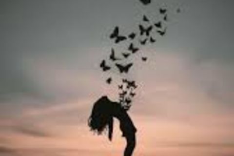 Dreams are not always reality