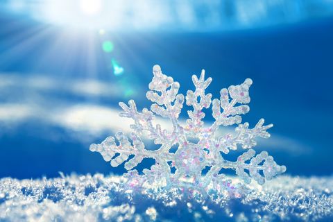 The Solitary Snowflake ❄️