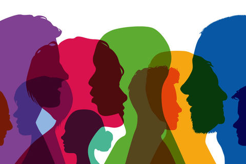 Inclusion