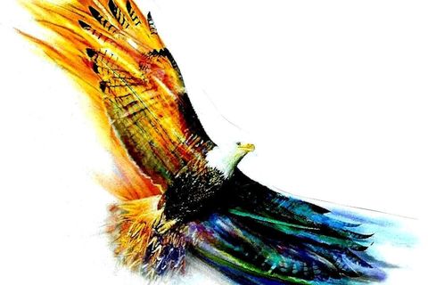 Fly