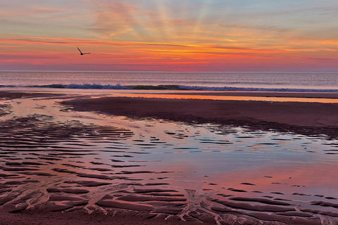 THE OCEAN