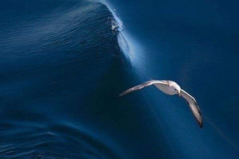 to our silence in the Soul