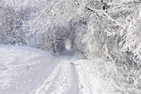 WINTERS HARD BLOW