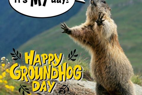 Groundhog day 2022 or Forty two days since 2021 Winter Solstice