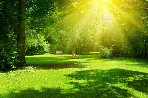 SUNNY DAY