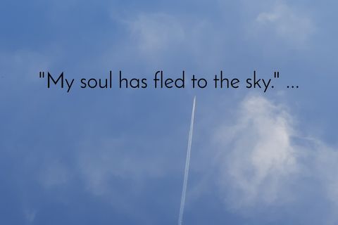 My soul in the sky 👼