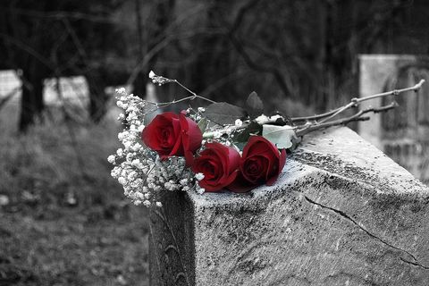 Roses for Elise
