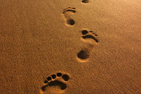 Yesterdays footprints 💕