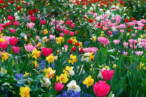 SPRING IS ON THE WAY