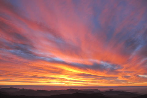 THE SUNSET