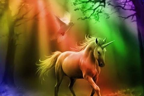 RAINBOWS + HORNS