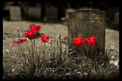 Rustic Flowers