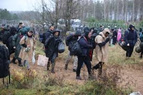 Migrants