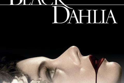 Black Dahlia