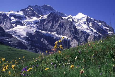 MOUNTIANS