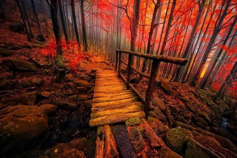 time keeps pace with your forgetfulness