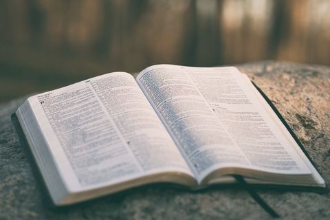 THE PROMISES OF GOD