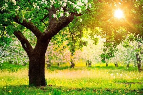 A NEW DAY