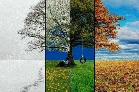 SEASONS