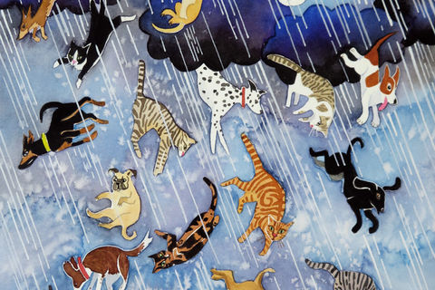 Raining Cats and Dogs 🐕‍🦺🐈