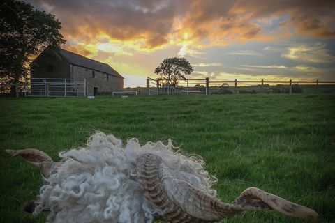 A countryside delight 💚