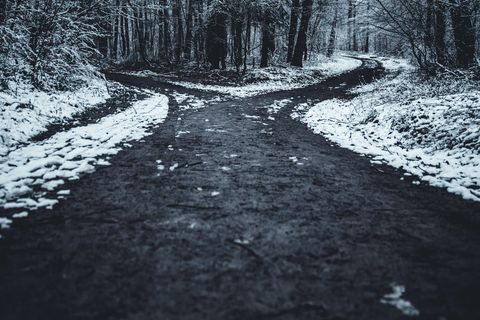 AT THE FORK OF THE ROAD 