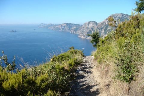 Pathway to the Gods