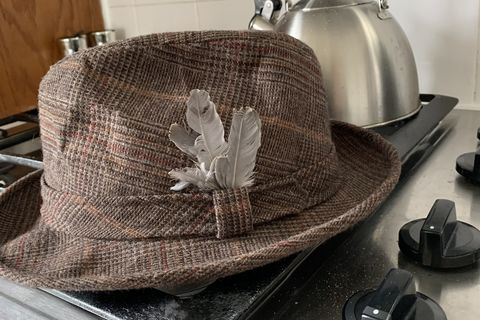 The feathers 🪶 in my 🎩 hat