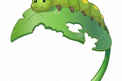 THE CATERPILLAR AND THE LEAF 