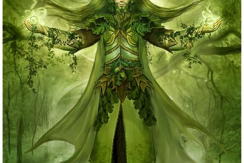 Father of The forest