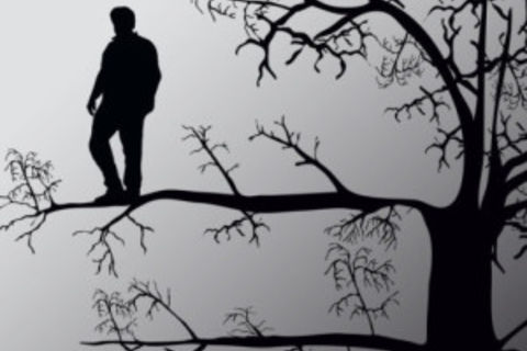 OUT ON A LIMB
