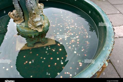 WISHING WELL