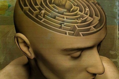 The maze