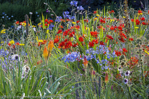 Late Spring, Early Summer