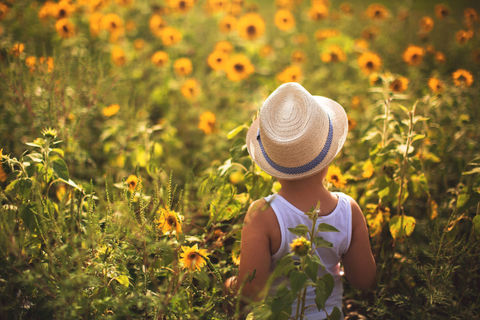 The tales of a little boy and a little girl and the flowers