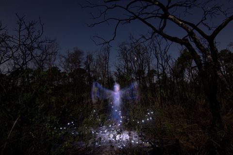 Ghost