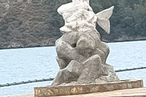 Turkish Mermaid