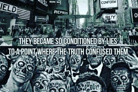 Establishment Elites