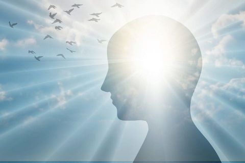 Insightful Dreams