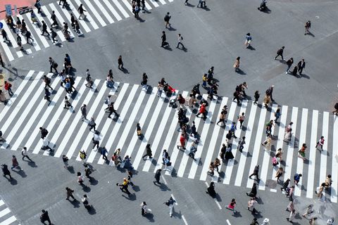 Zebra Crossing