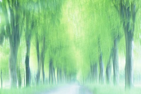 It's Raining Today: ( June 30th, 2022)