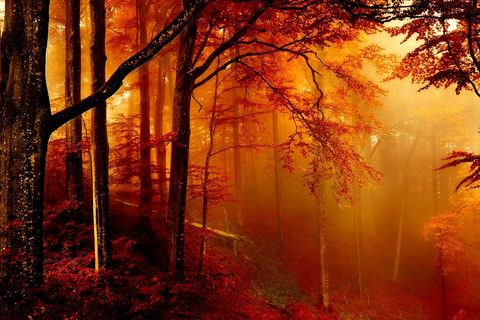 The November With Rain On Its Mind
