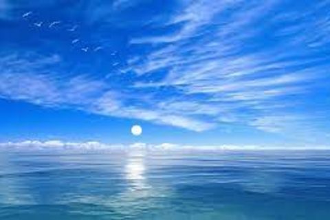 Oceanic Dreams