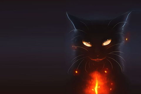 ~ BLACK CAT ~